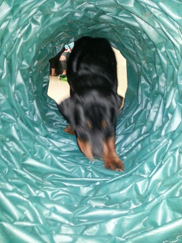 Run Through A Tunnel Max