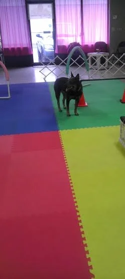 Maya