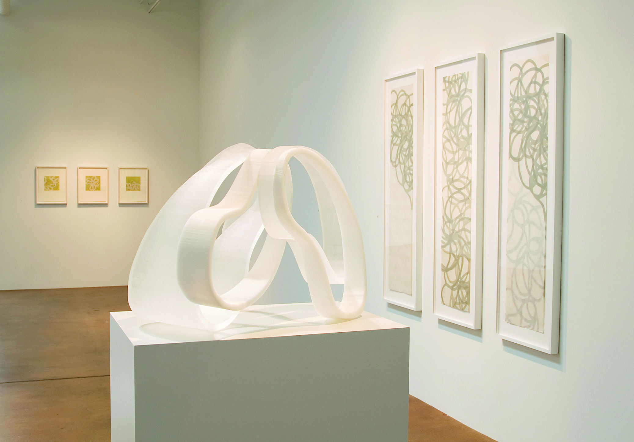 Counterpoint Holly Johnson Gallery, Dallas, TX 2008