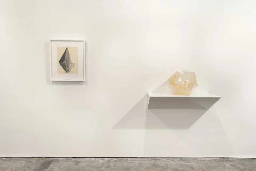 Invisible Light J. Cacciola Gallery, New York, NY 2013