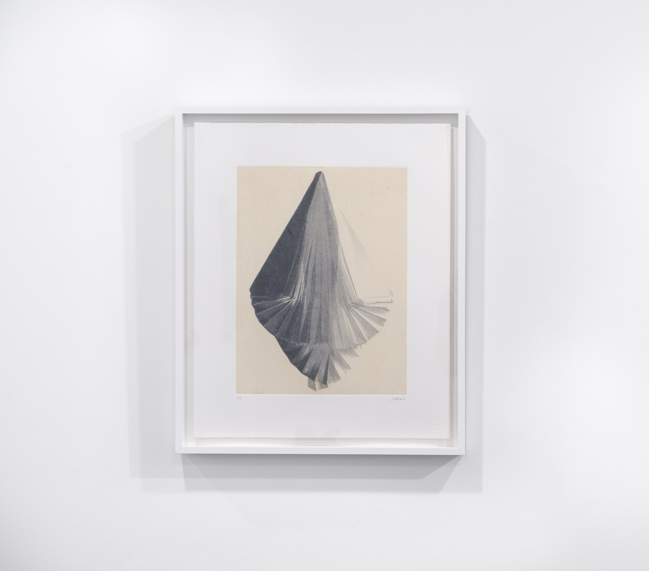 Unfolding II , 2011, Photo polymer gravure with chine colle on BFK paper, Monoprint, 16 x 12 inches