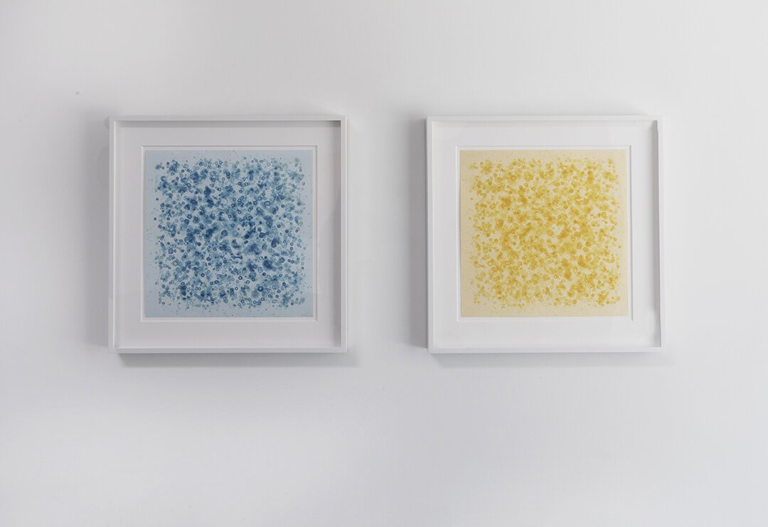 Rain Series, 2020, Rain (Sky Blue) and Rain (Amber), 2020, Spit Bite Aquatint Etching with chine colle on Rives BFK paper, Monoprint, 16 ¾ x 16 ¾ inches