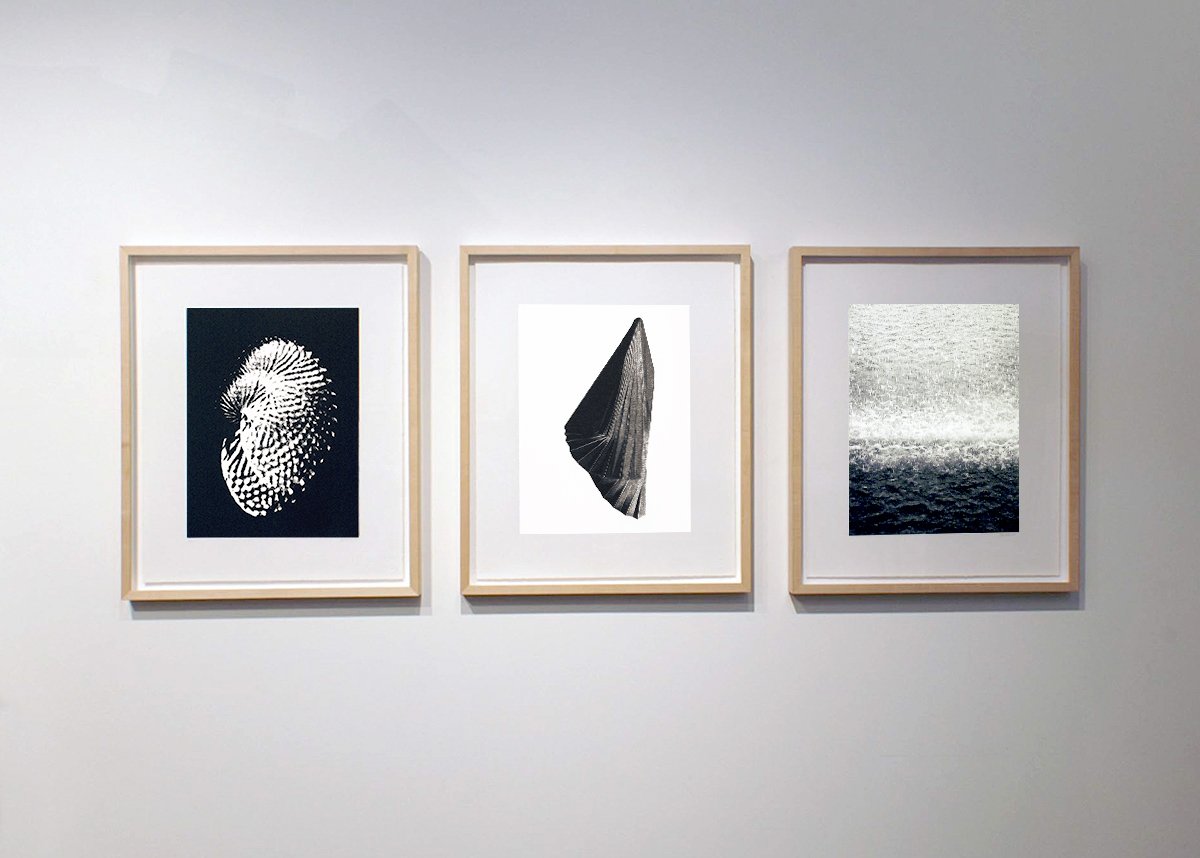  Japan Print Series, 2012, Argo, Unfolding I, Water and Stone,  Photo polymer gravure on BFK paper, Edition of 5, 16 x 12 inches 
