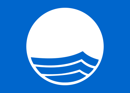 420px-Blue_Flag_Logo.svg.png
