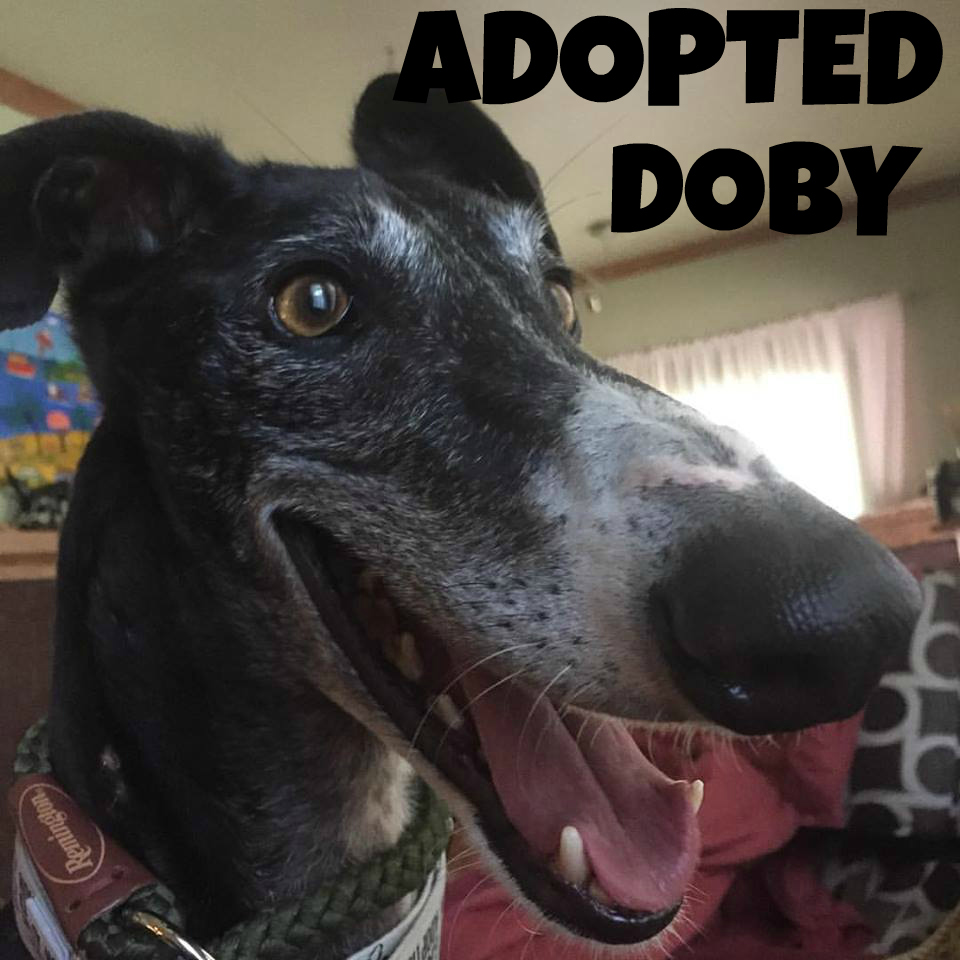 Doby-Adopted.jpg