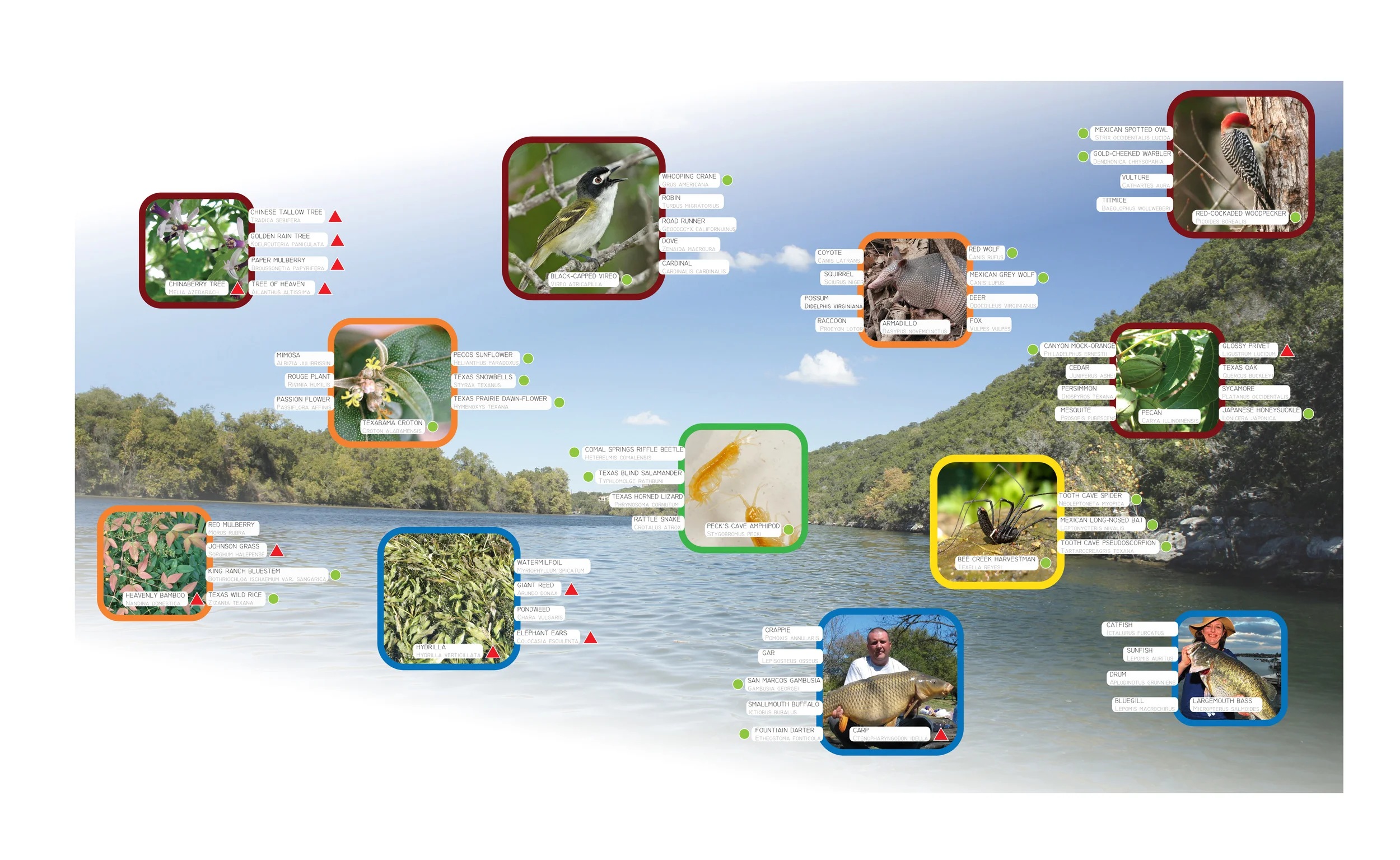 Capstone Project - Lake Austin