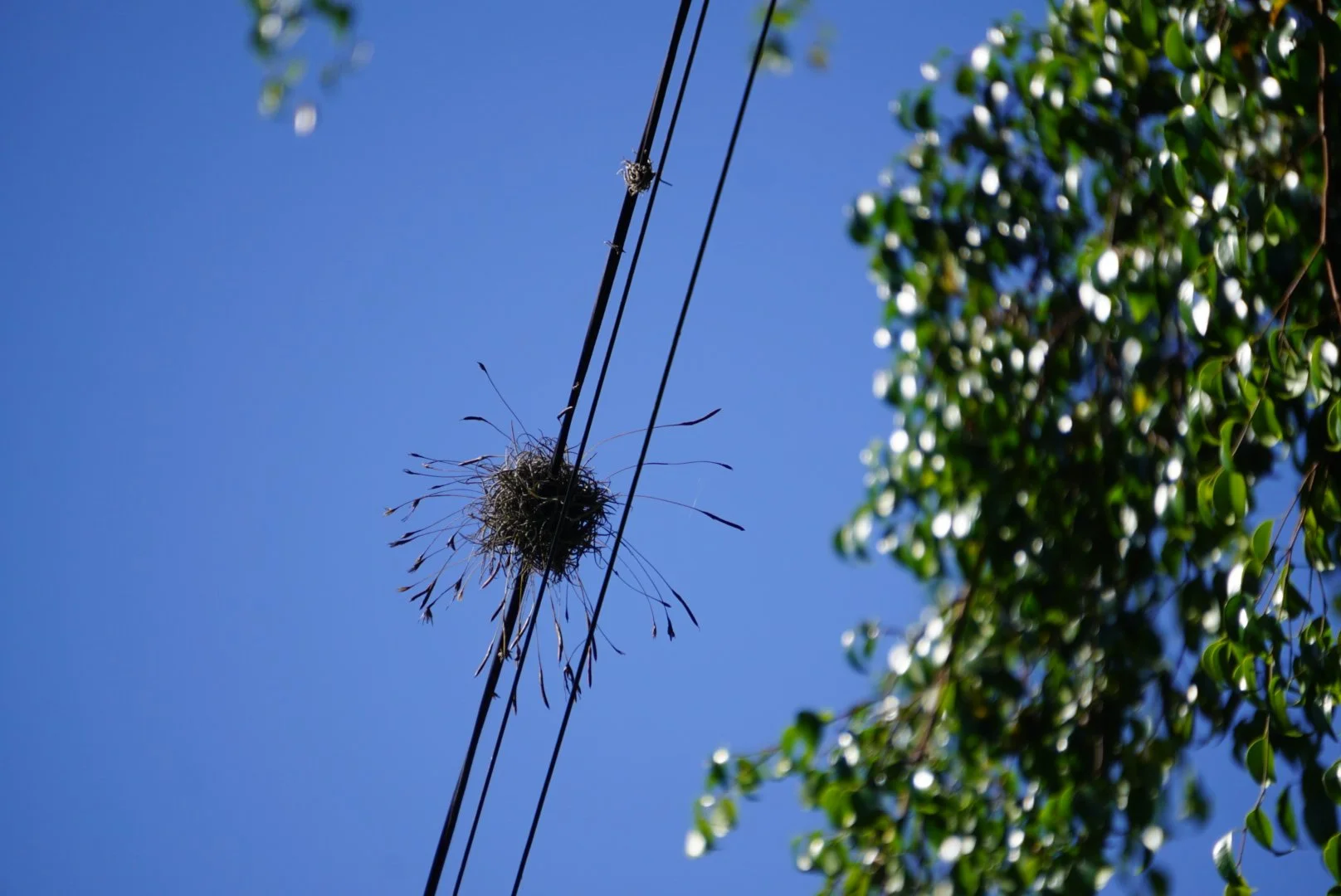 DSC05923.JPG