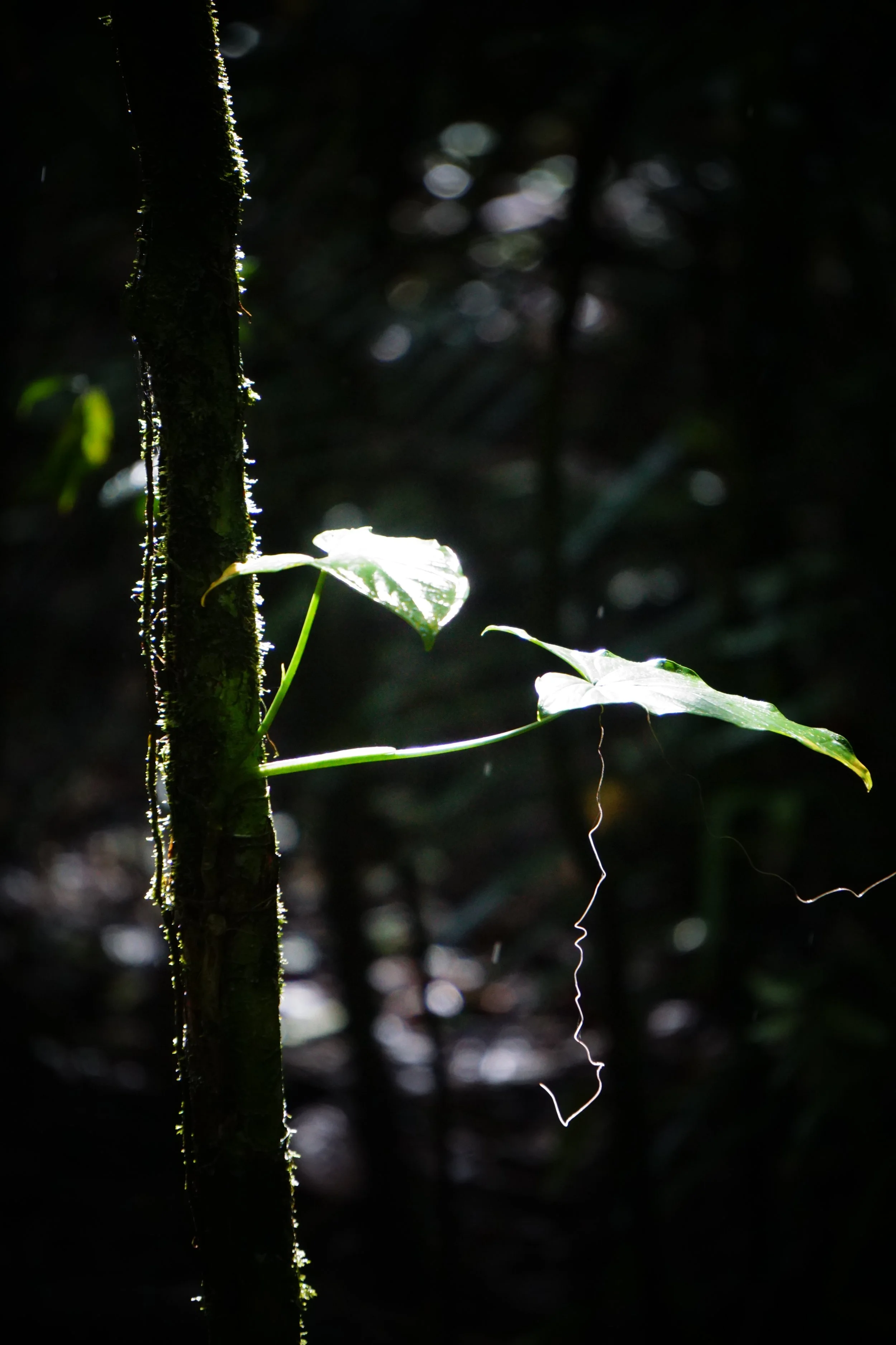 DSC07235.JPG