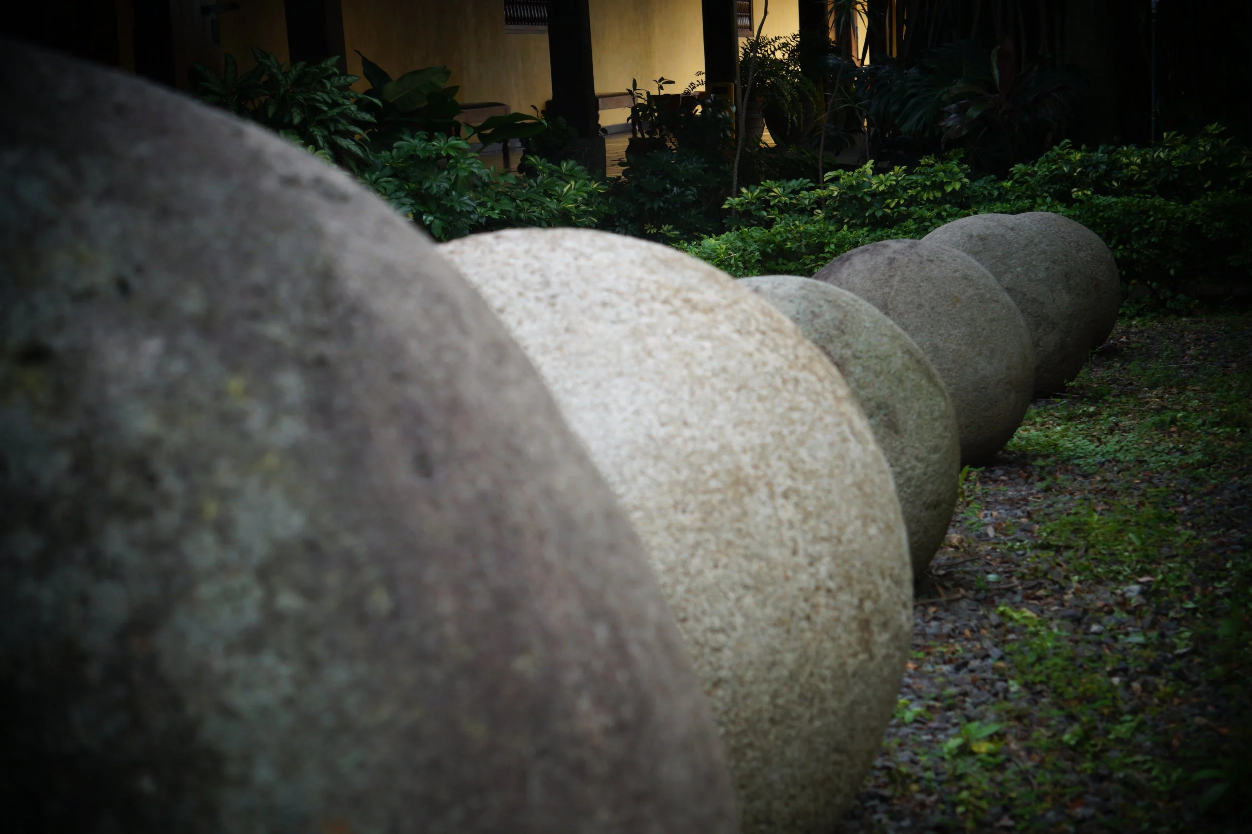 DSC08100.JPG