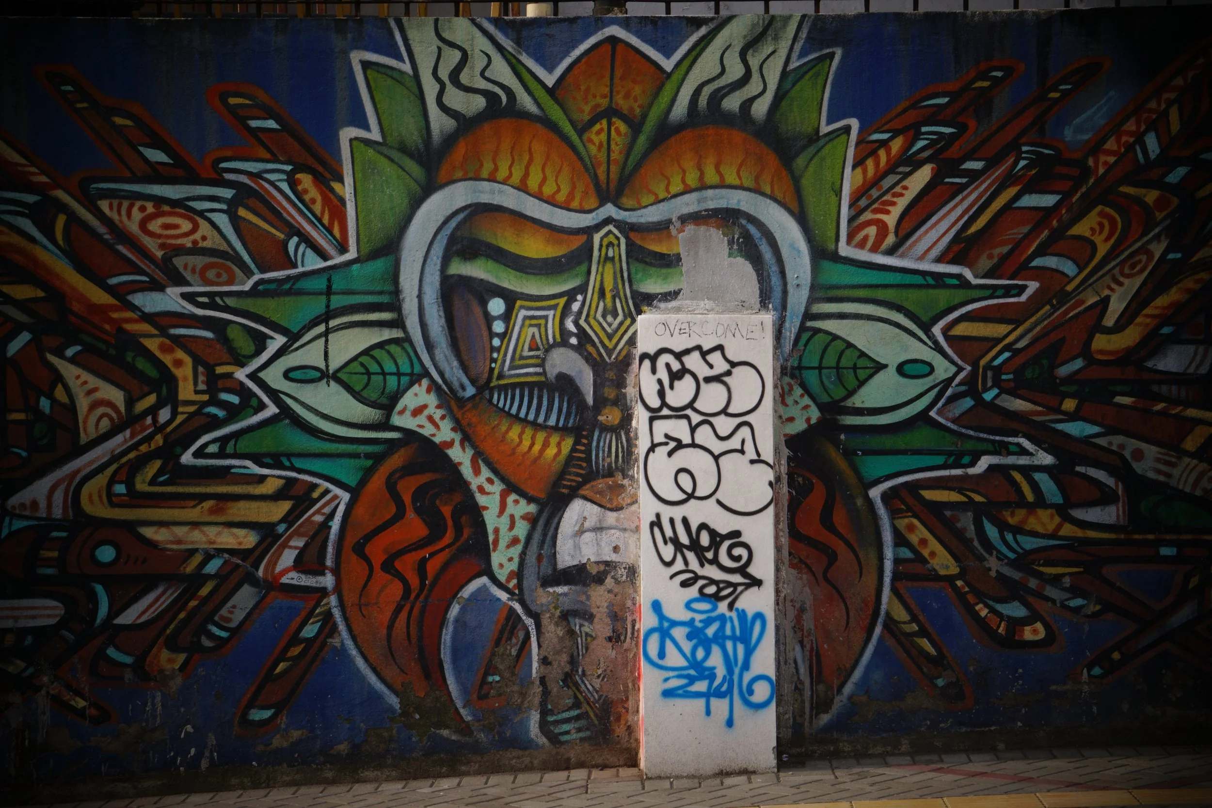 DSC08119.JPG