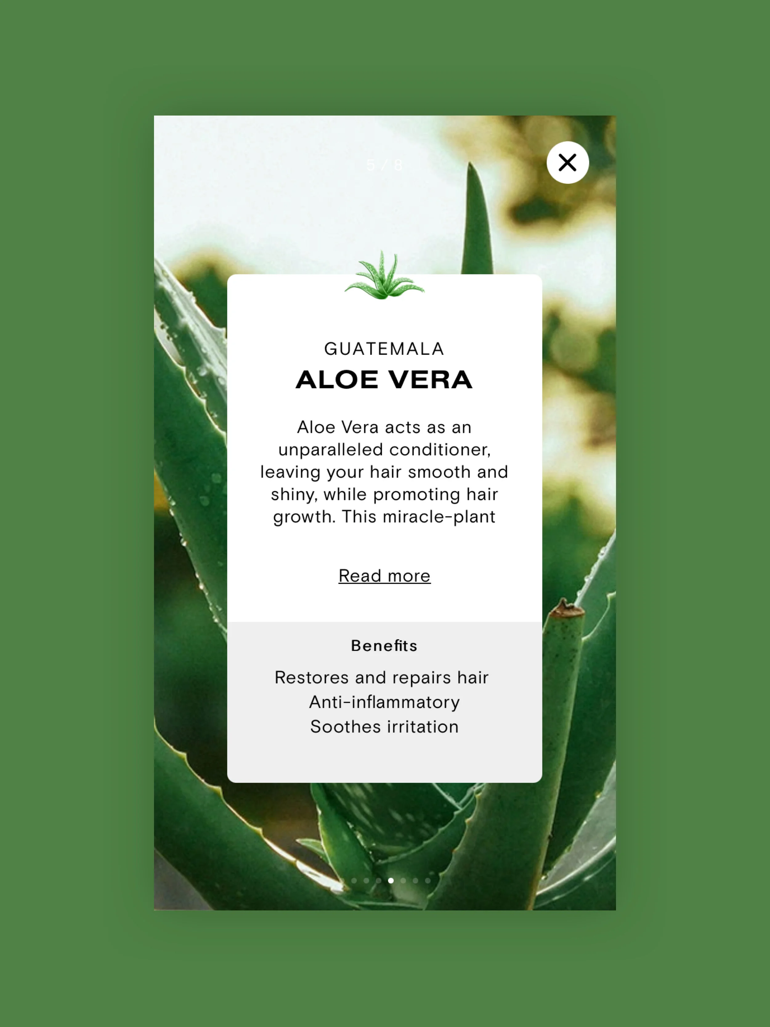 ceremonia-start-mobile-8.jpg