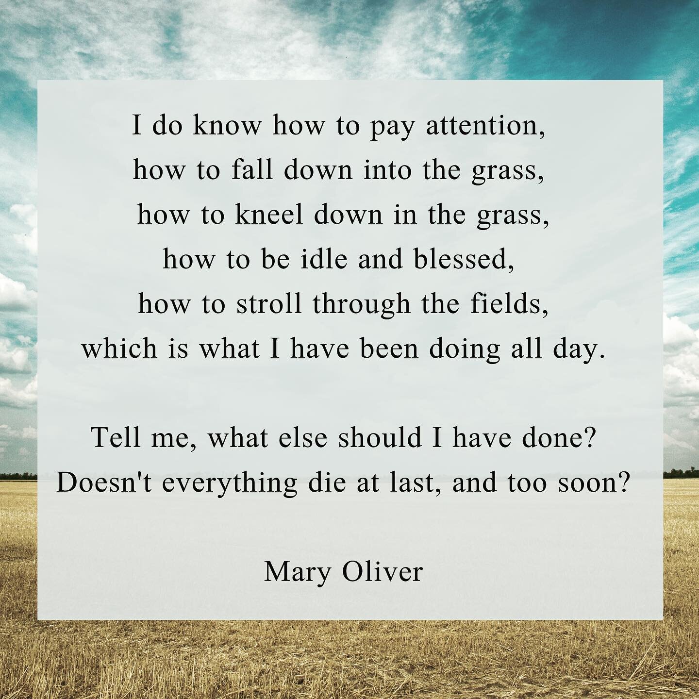 &ldquo;I do know how to be idle and blessed&rdquo;
-This may not be the most famous excerpt from Mary Oliver&lsquo;s beloved poem, but it is my favorite. It comes from a place of contentment rather than craving/striving/grasping.
.
Contentment is a p