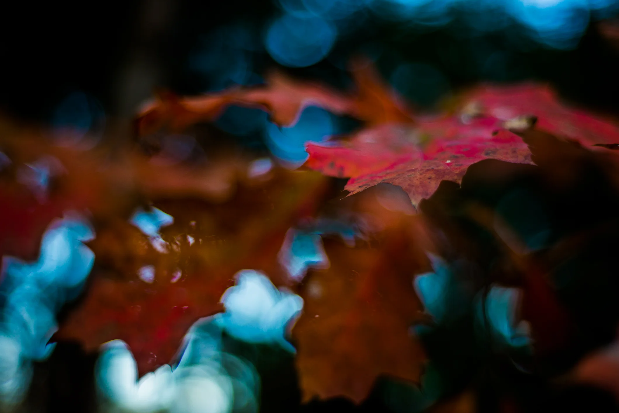 October2014-27.jpg