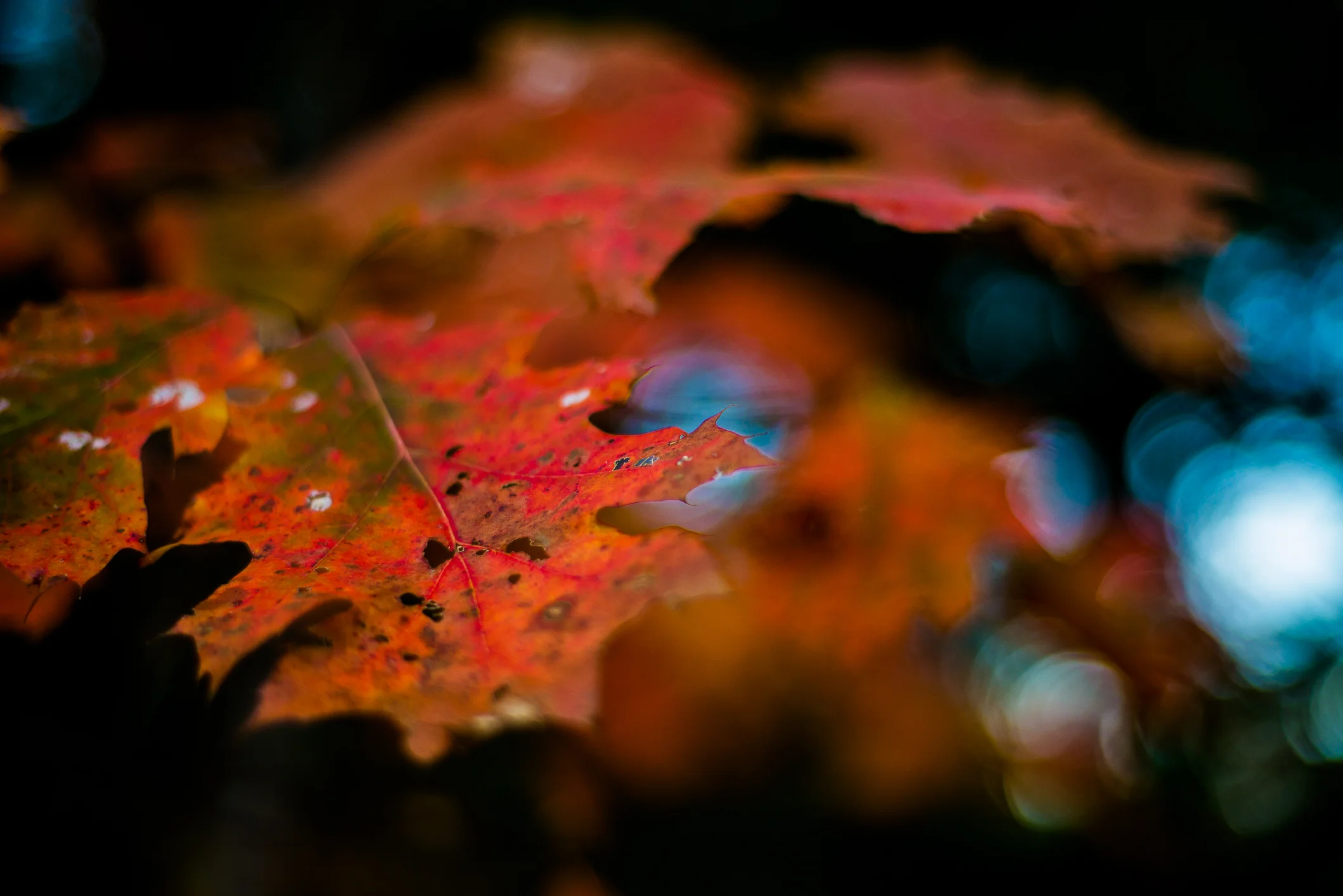 October2014-32.jpg
