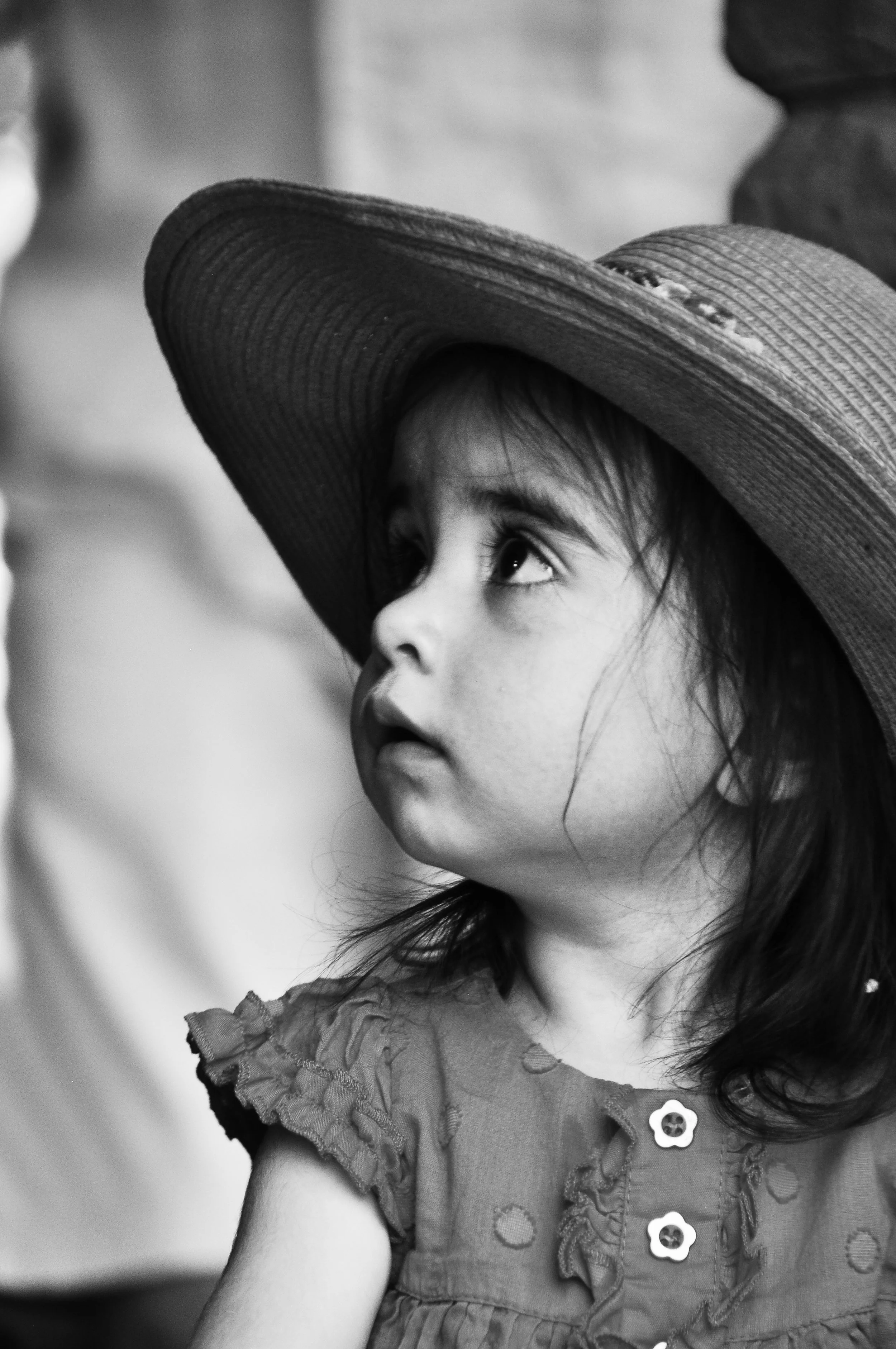 _DSC9526bw.jpg