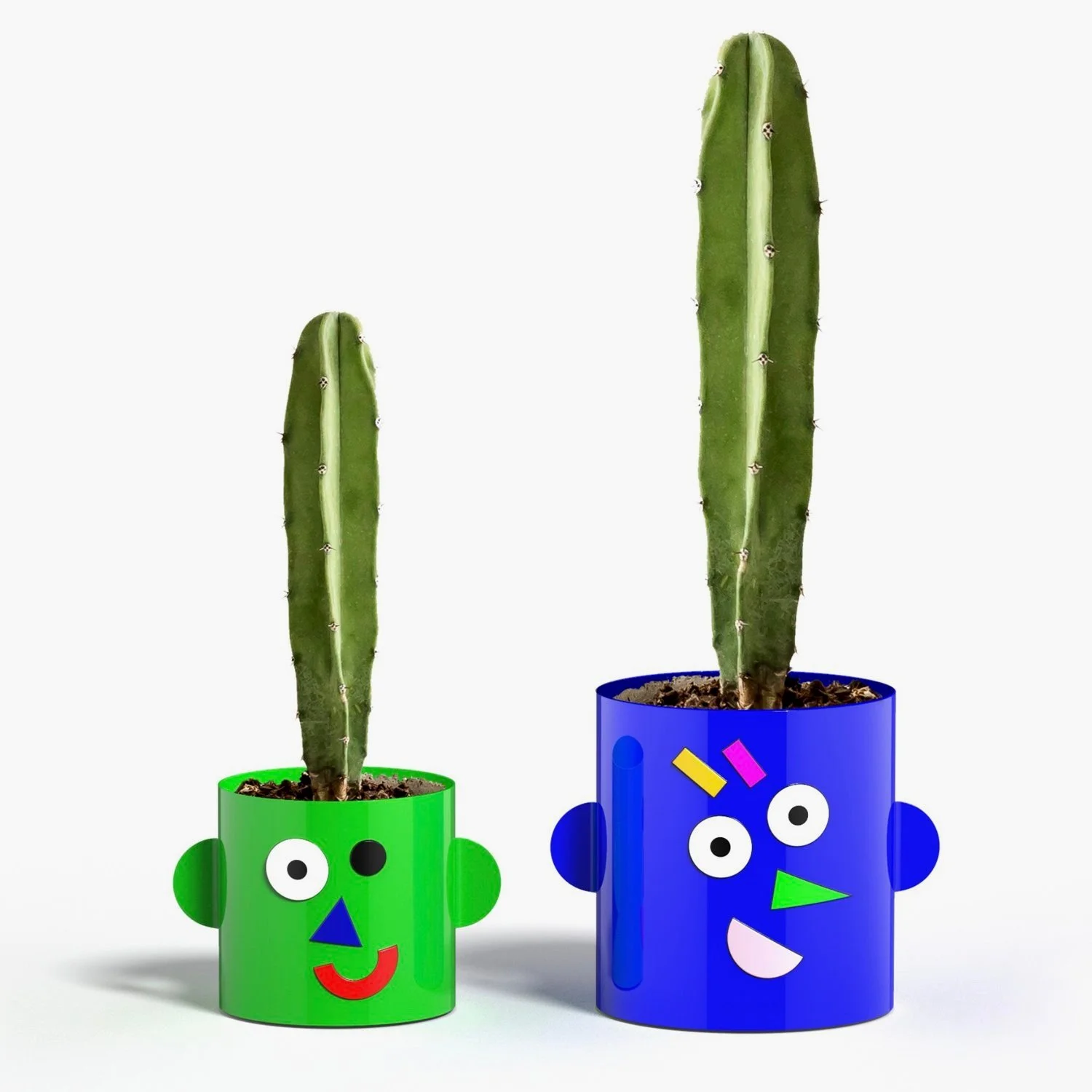 Plant+pot_cacti.jpg