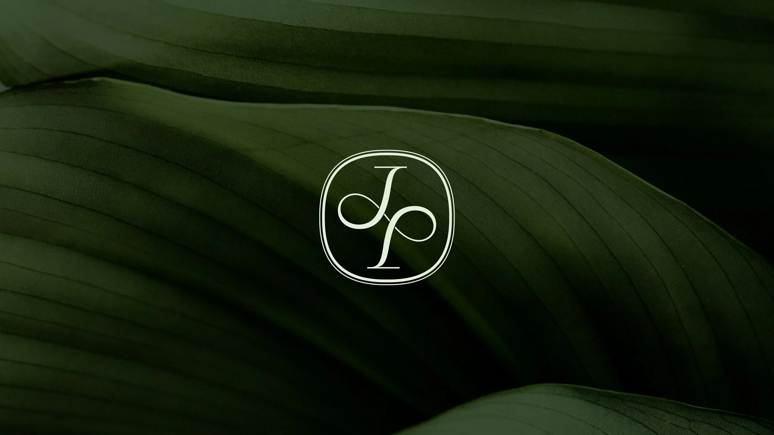 JUNPING Brand Identity and Package Design