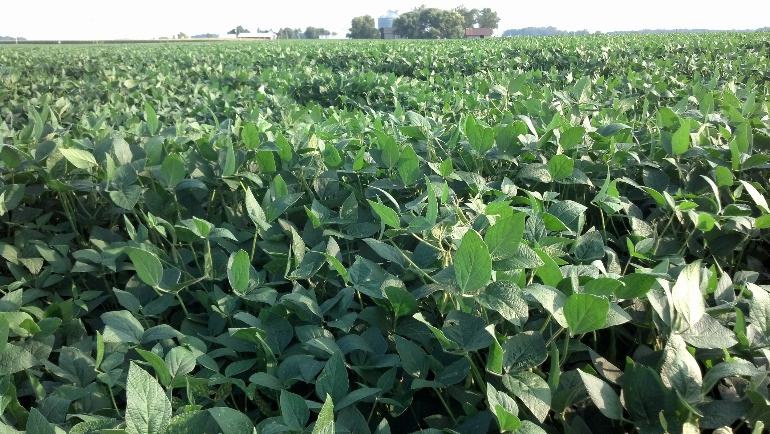 2013-08-20 18.26.59.jpg