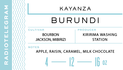 Kenya gitura AB muranga county coffee