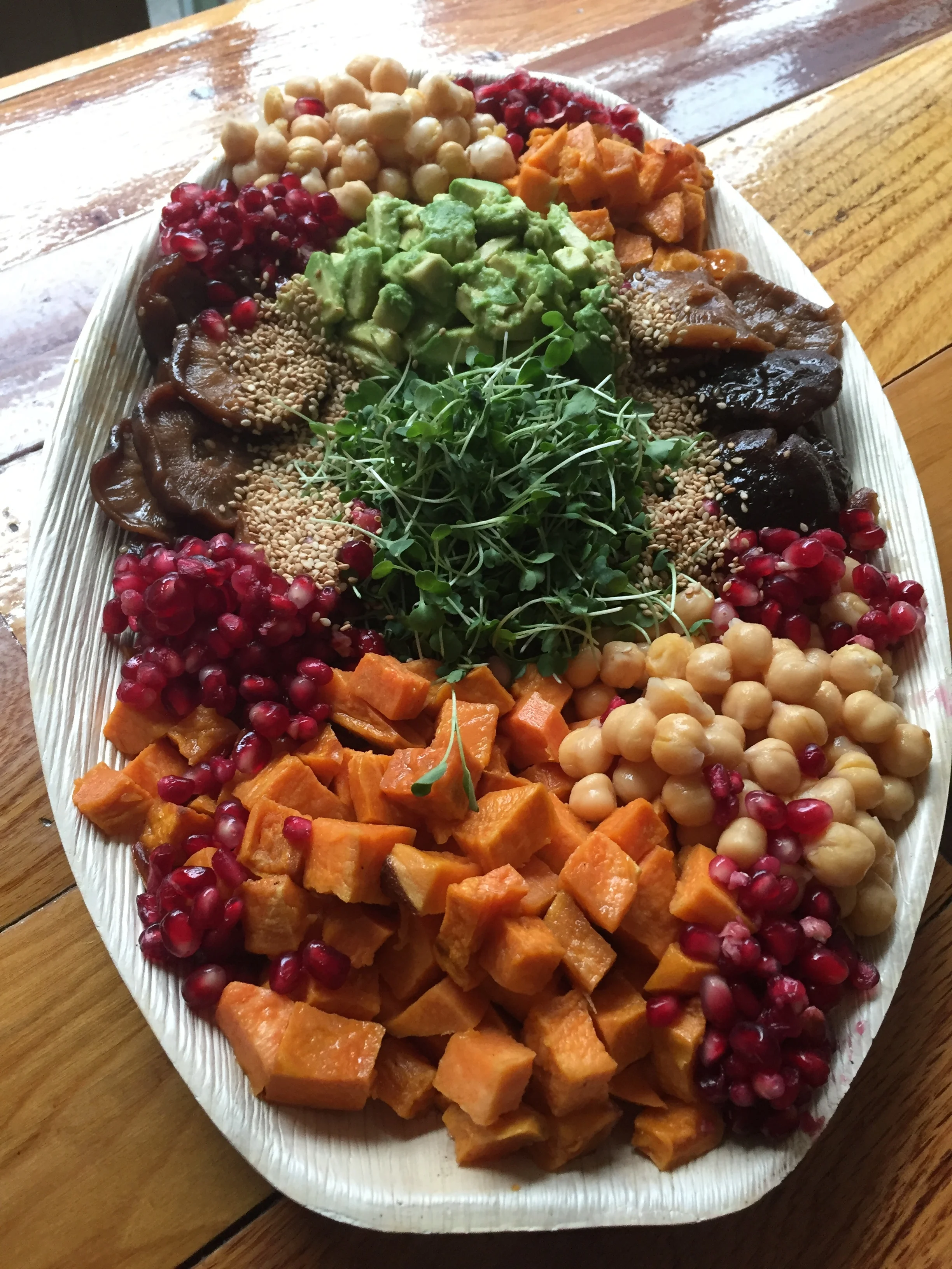 Rachel Klein - IMG_1877.JPG