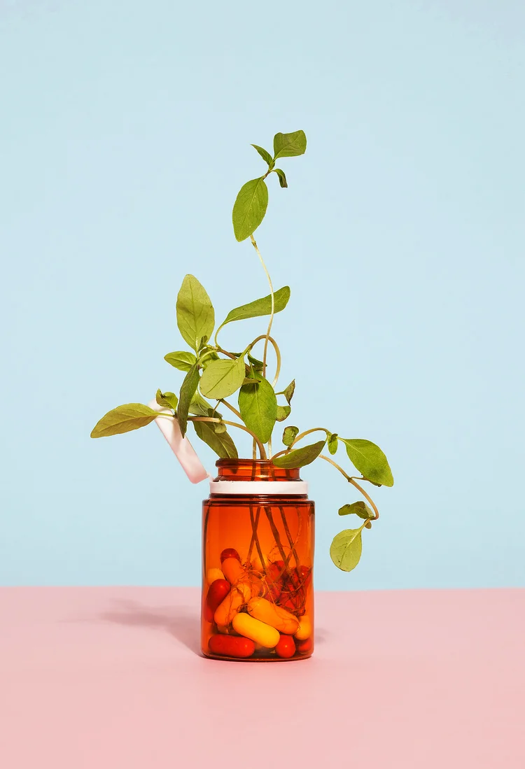 Volkskrant - Autism is in the intestine