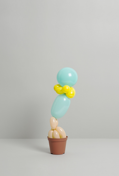 monique_broring_office_plant_05.jpg