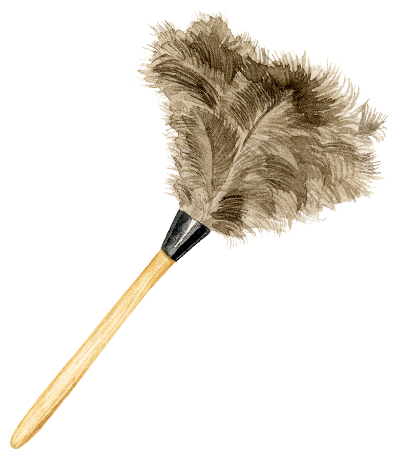 feather-duster2-sm.jpg