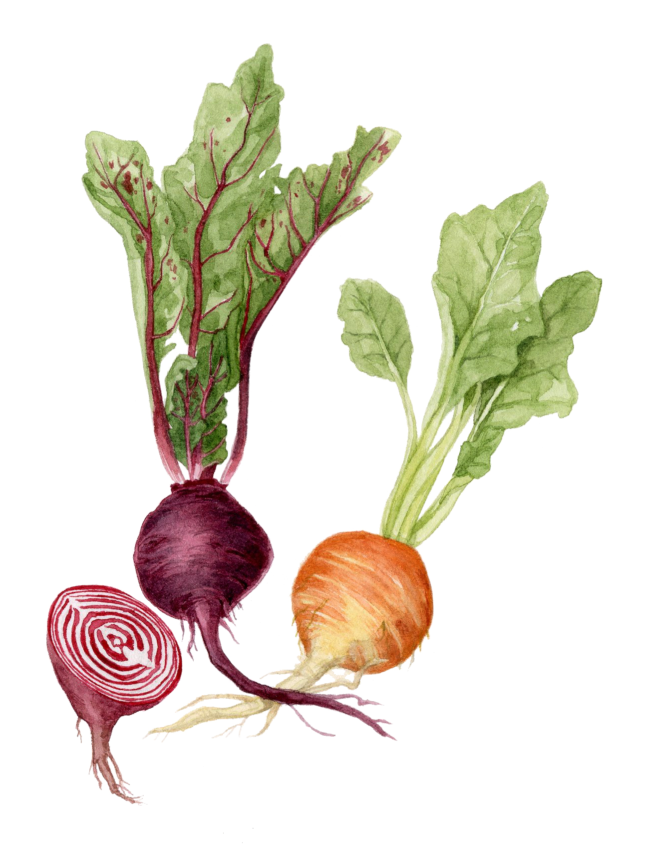 1-beets.jpg