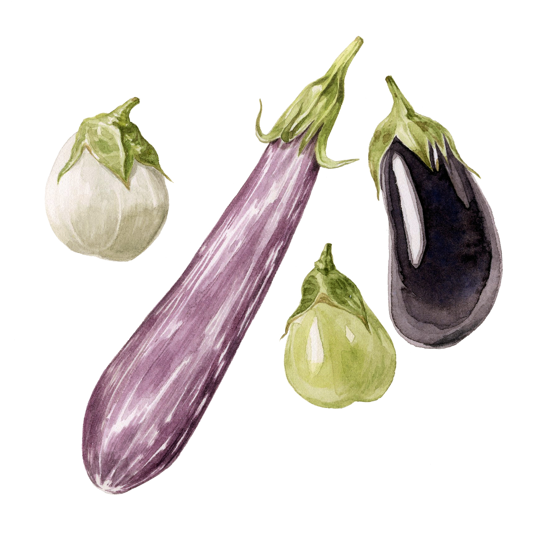7-eggplant.jpg