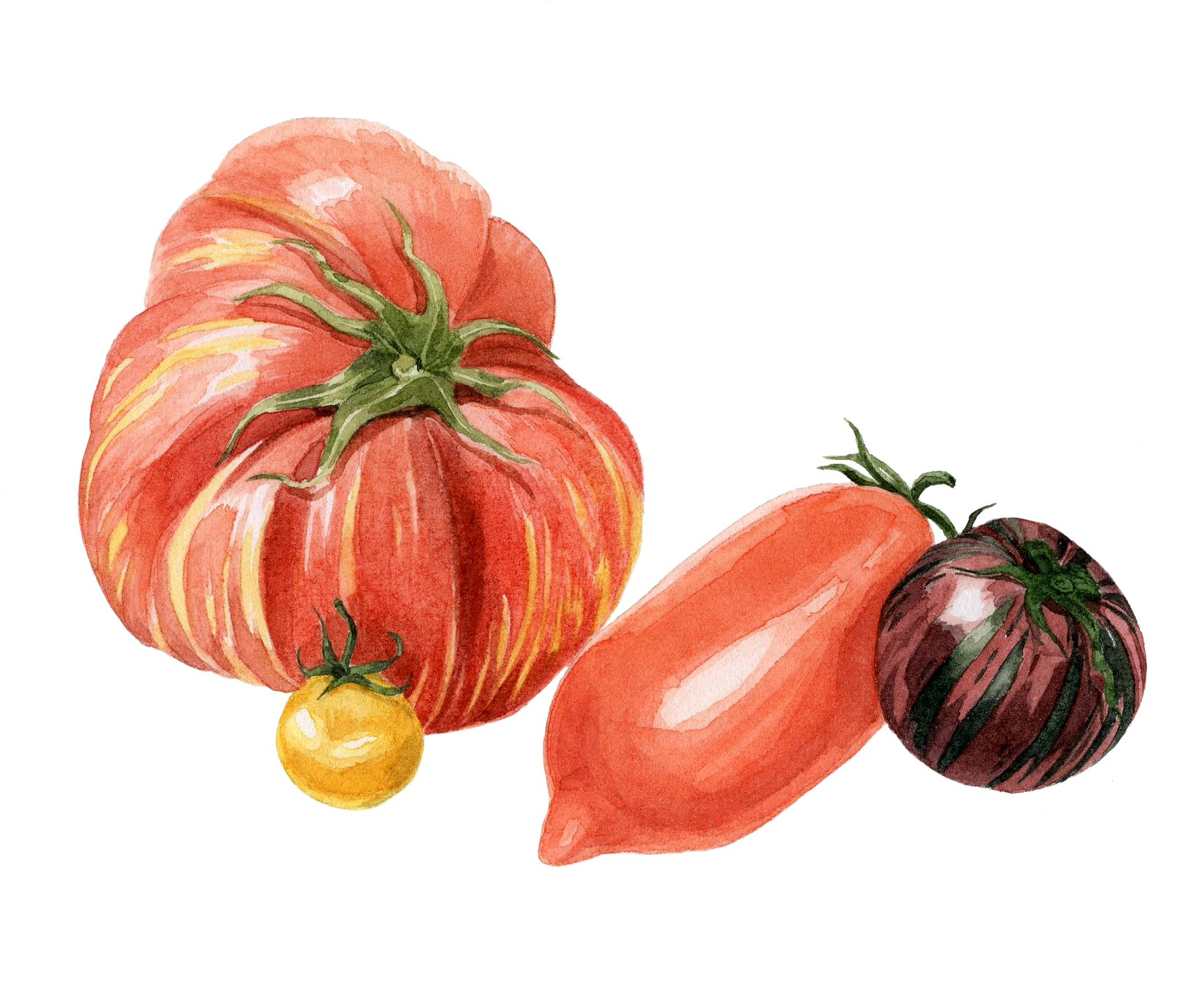 10-tomatoes.jpg