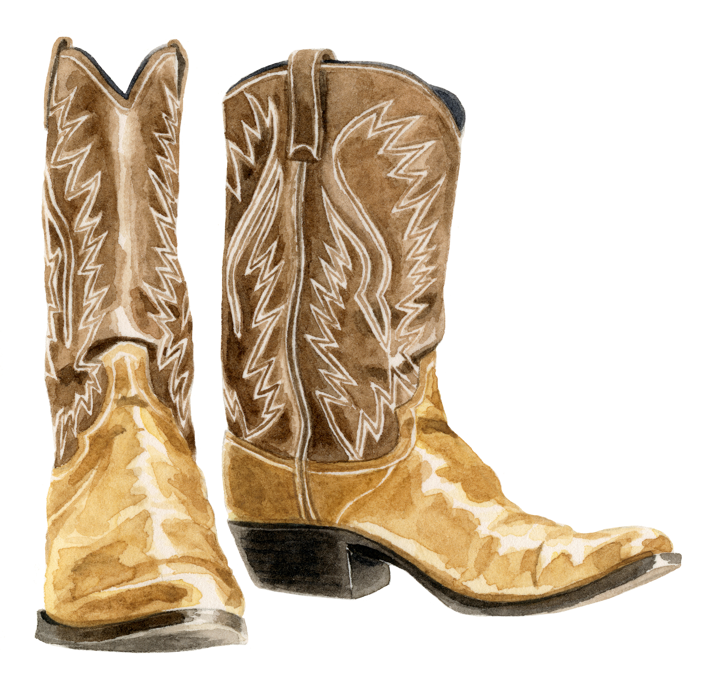 cowboy-boots-lrg.jpg