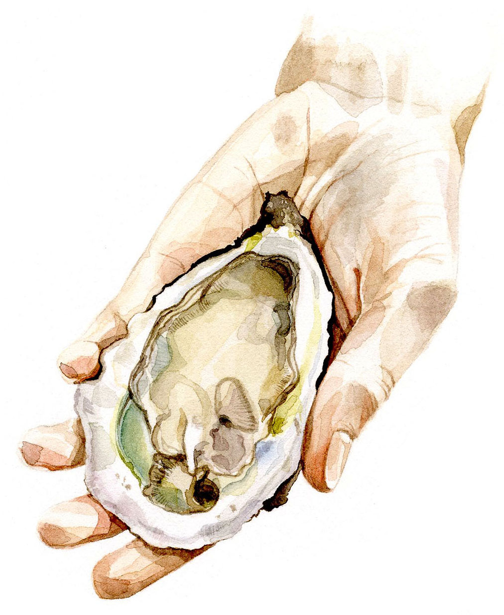 oyster-shuck.jpg