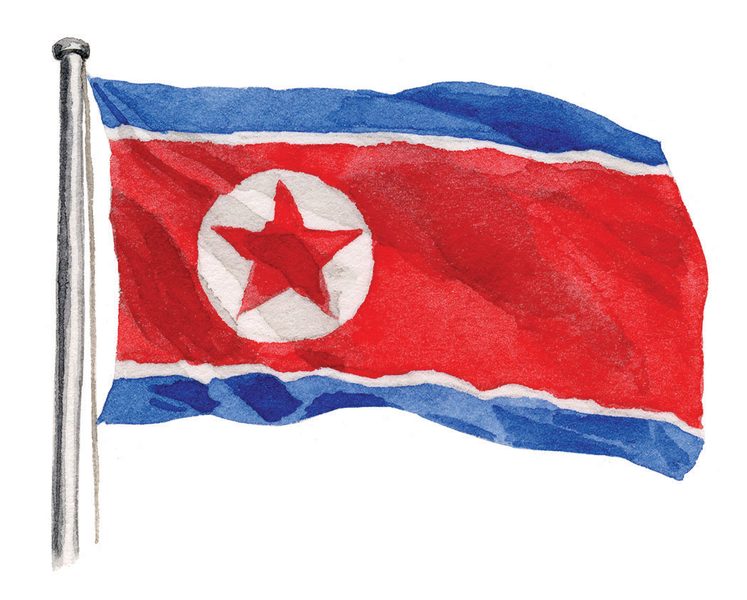 NK-flag-lrg.jpg