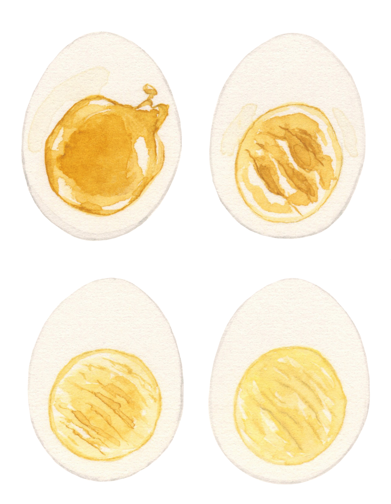 eggs-lrg.jpg