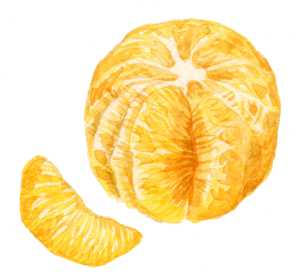 orange3-lrg.jpg
