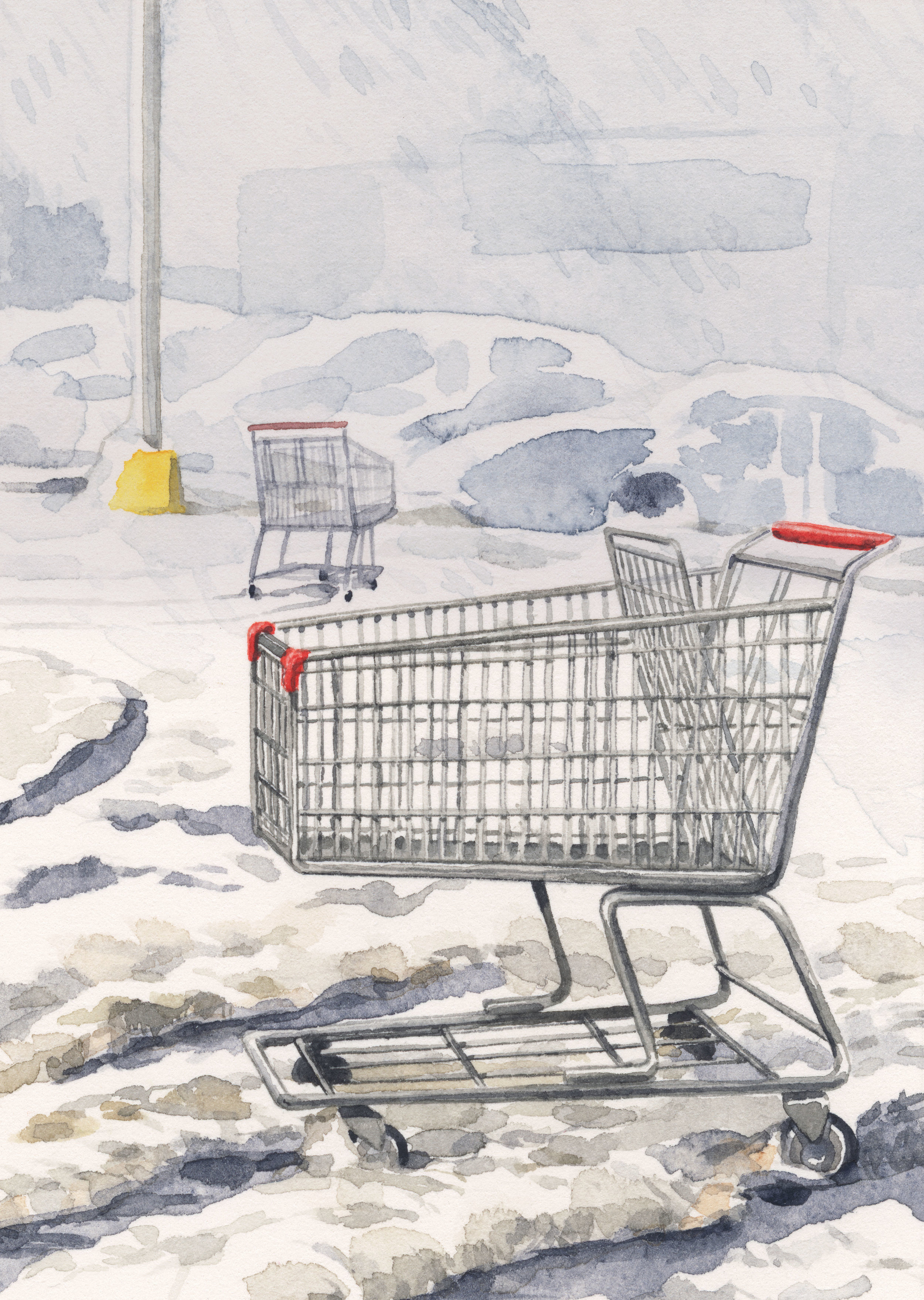 grocery-carts-web.jpg