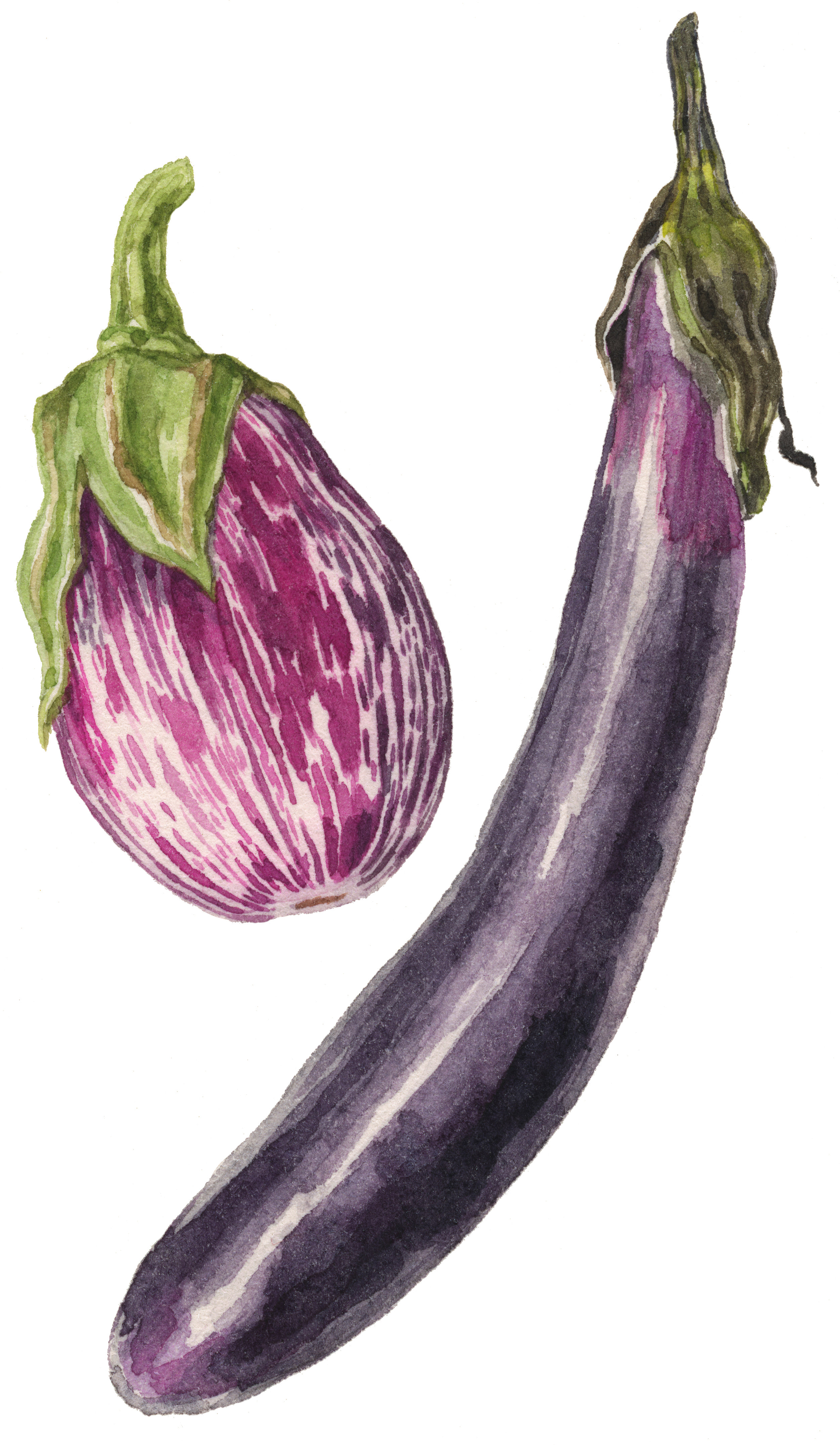 21-eggplant-lrg.jpg