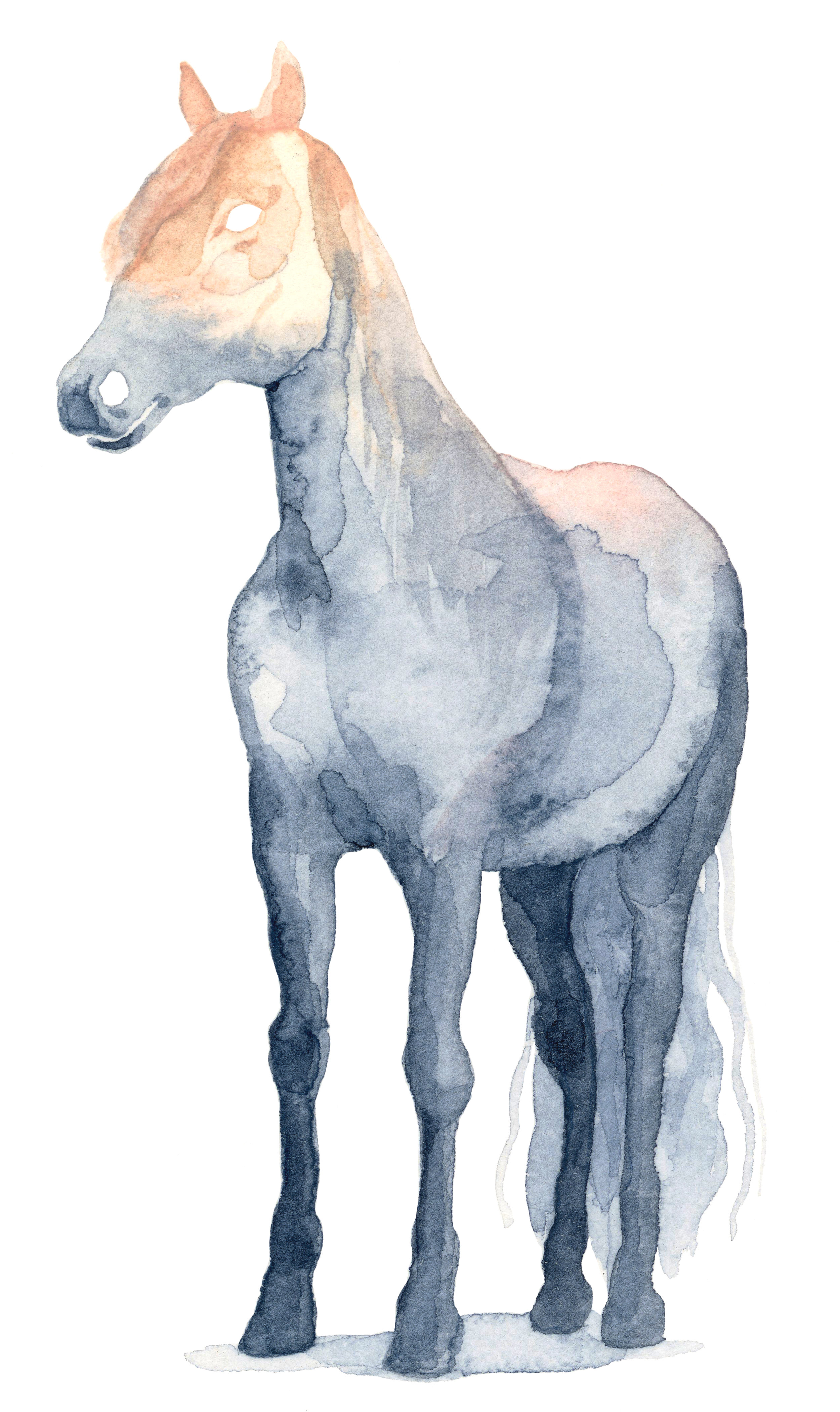 misty-horse-lrg.jpg