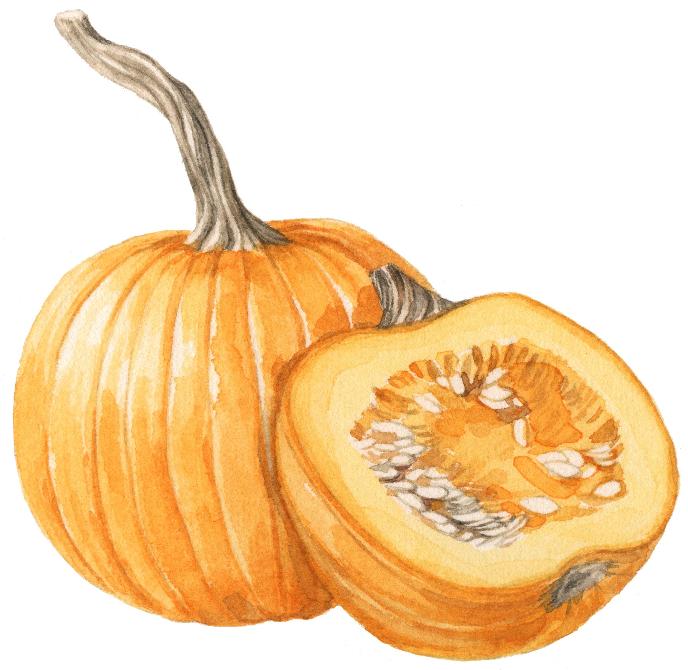 pumpkin-lrg.jpg