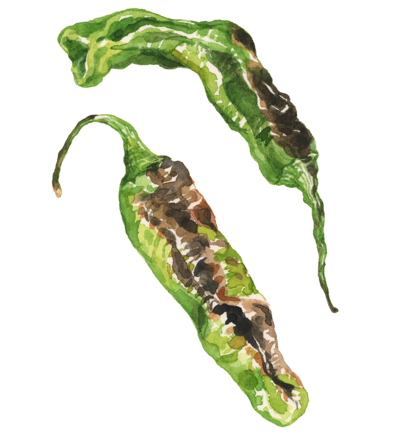 shishito-peppers-lrg.jpg