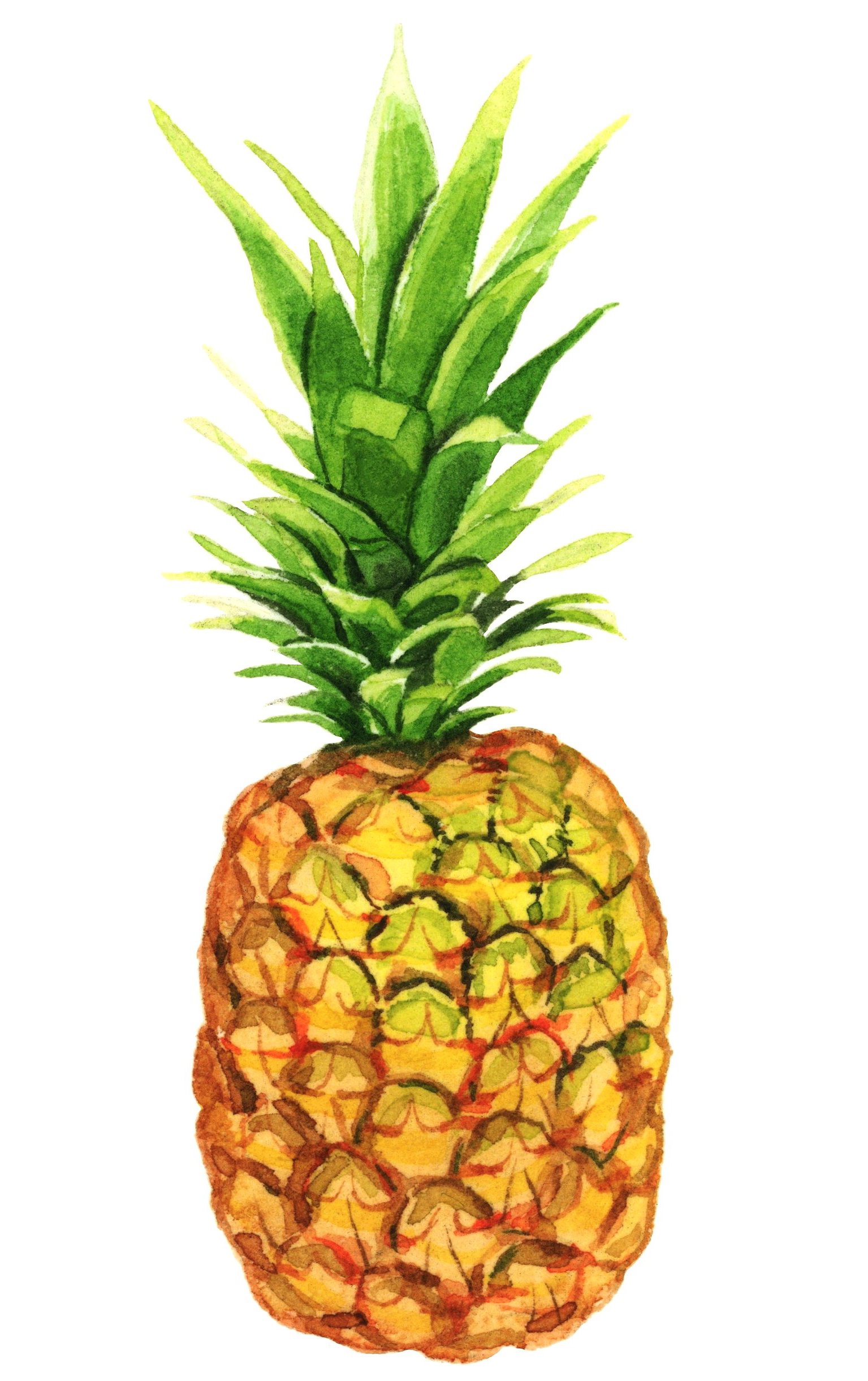 pineapple-lrg.jpg