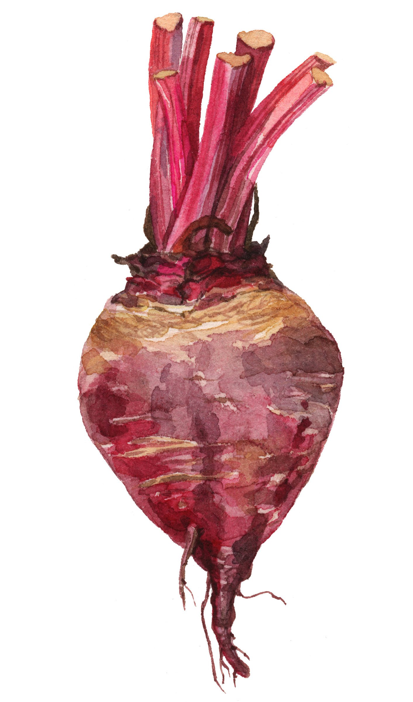 25-beets-late-lrg.jpg