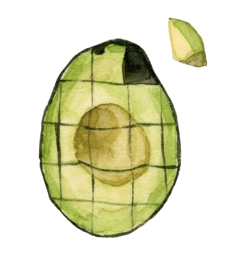 avocado3-lrg.jpg