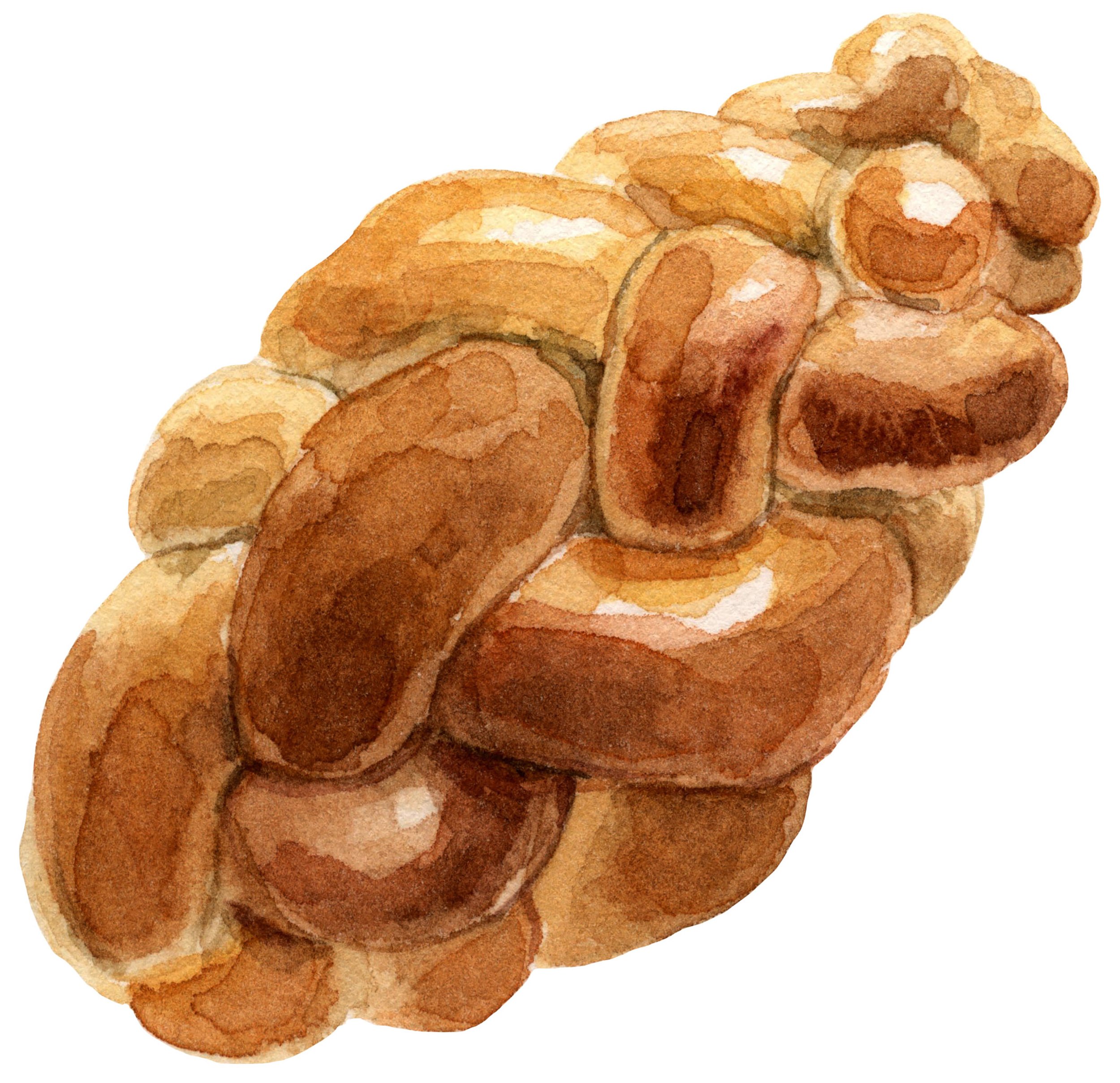 harbord-challah-web.jpg