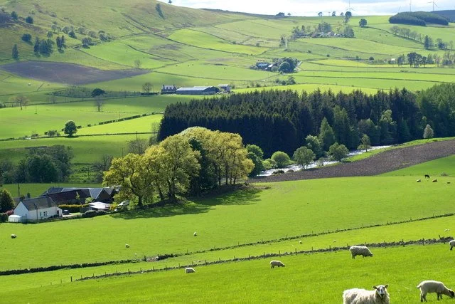 Jerusalem Cannot be Built on Green and Pleasant Land