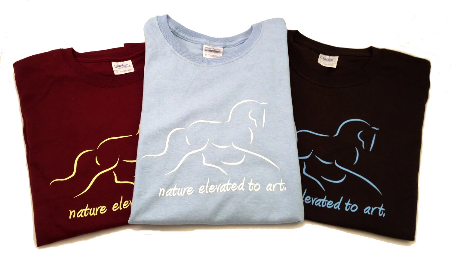 Dressage Tee 2.jpg