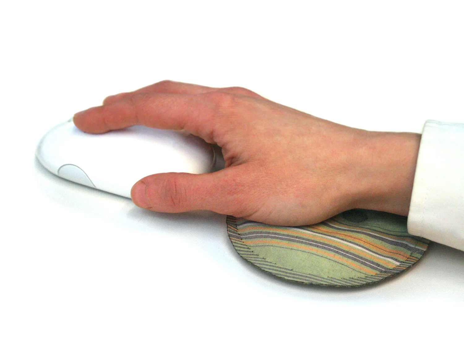 palm_mouse1.jpg