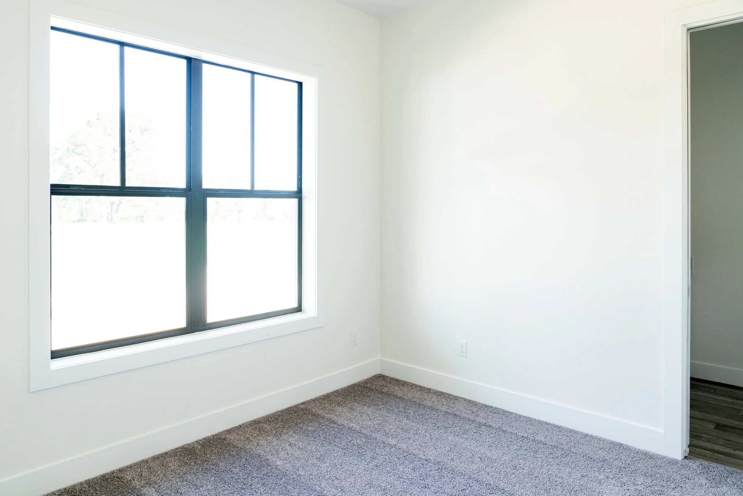 Empty room with white walls, a large window with black framing, and brown carpet flooring.