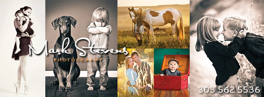 Create an elegant family portrait and help dogs and cats in need this year. 