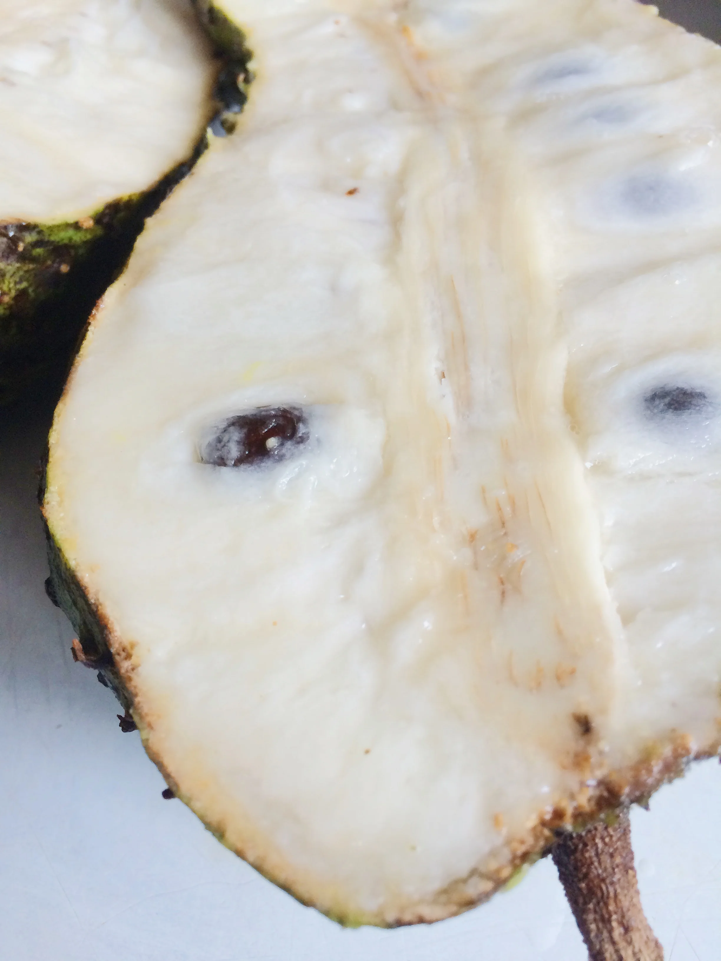 Sour Sop